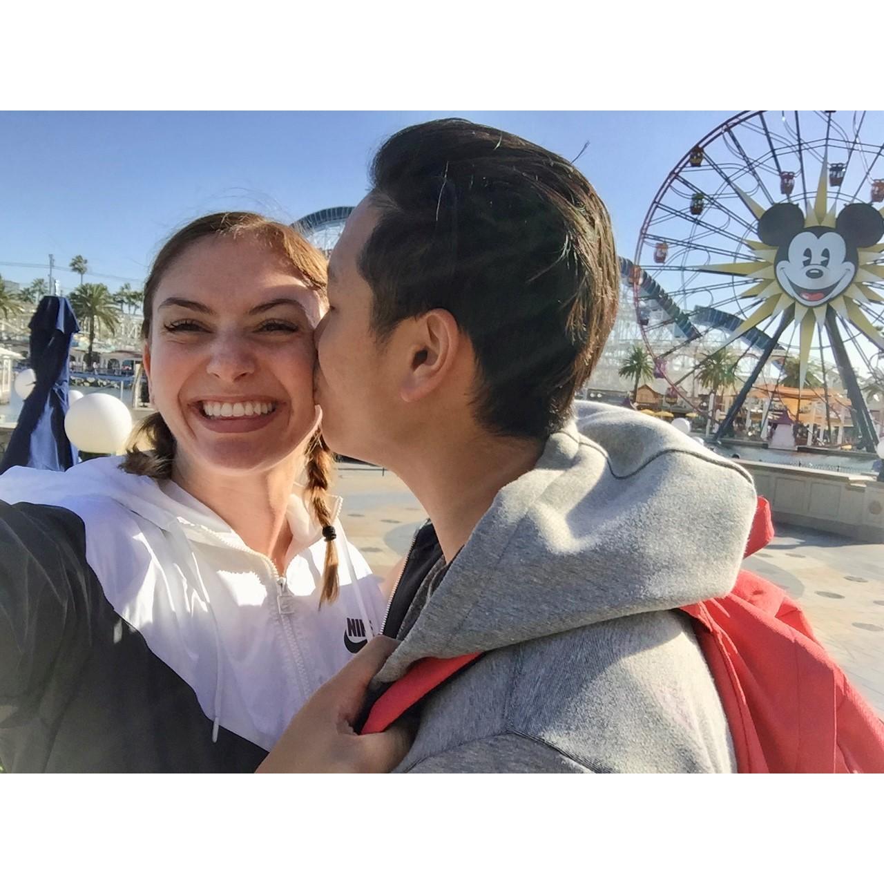 Disneyland 2015
