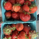 Thrive Juice Bar & Kitchen