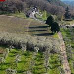 Riley's Farm