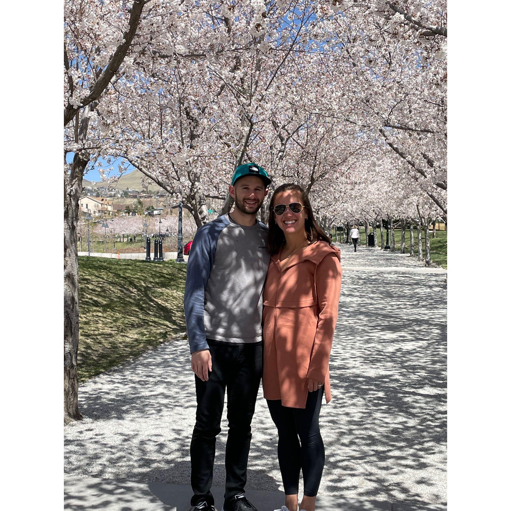 Cherry Blossoms : )
Not quite DC's, but the UT State Capitol held its own
