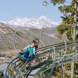 Cowboy Coaster at Snow King Mountain