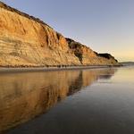 Torrey Pines State Natural Reserve