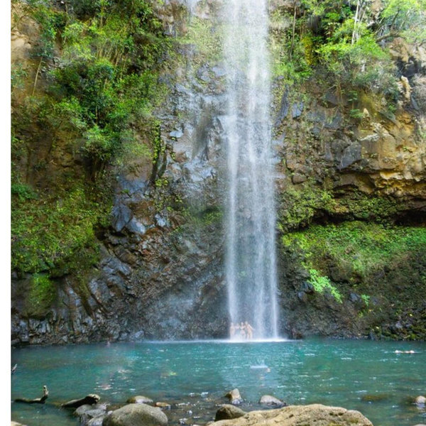 Waimea River Kayak Tour