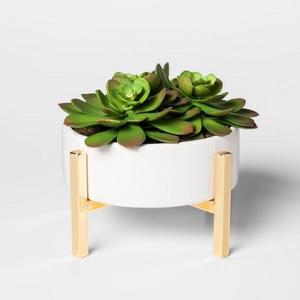 Artificial Succulent in Stand Large - Project 62™