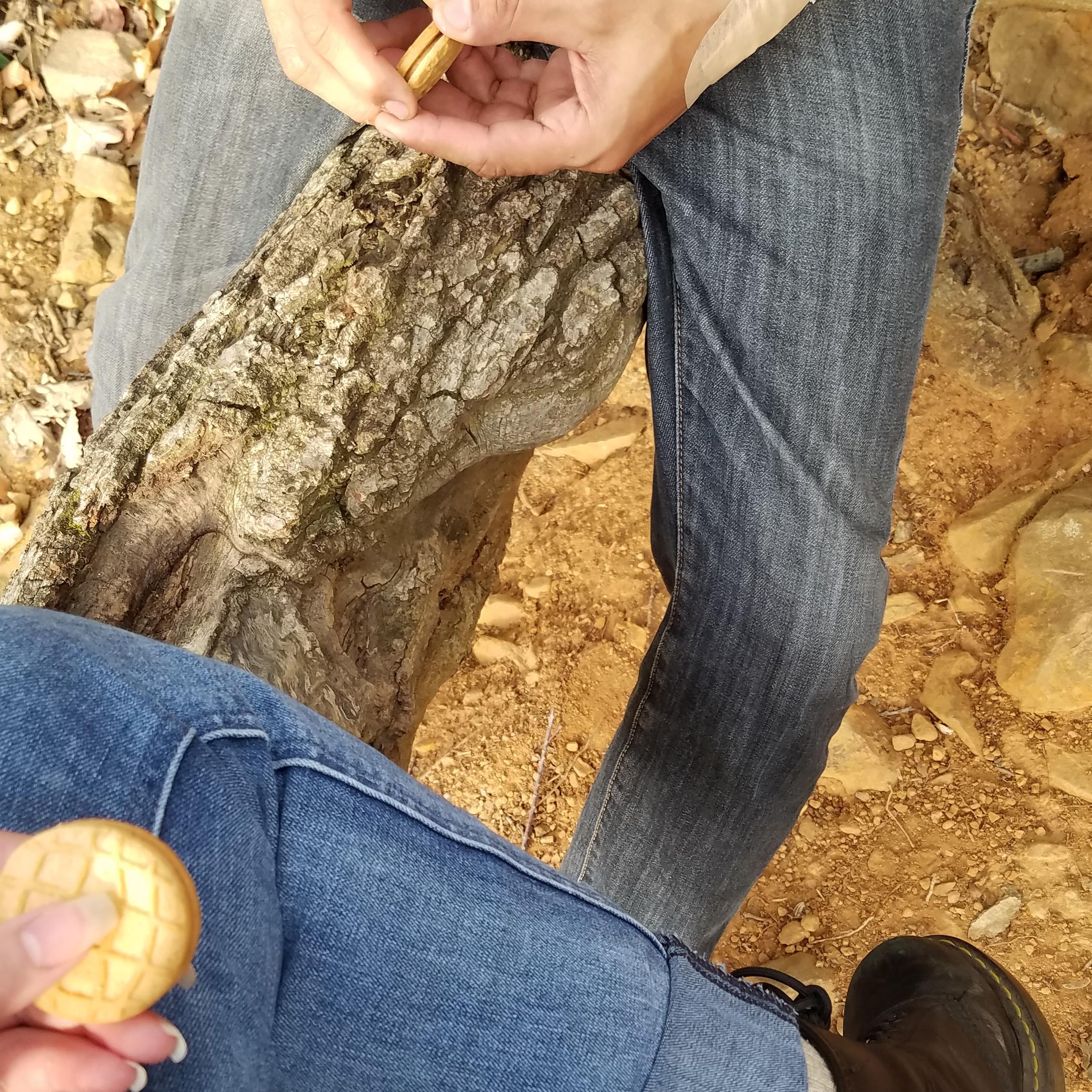 Hiking, Watchung Reservations, October 2020.
