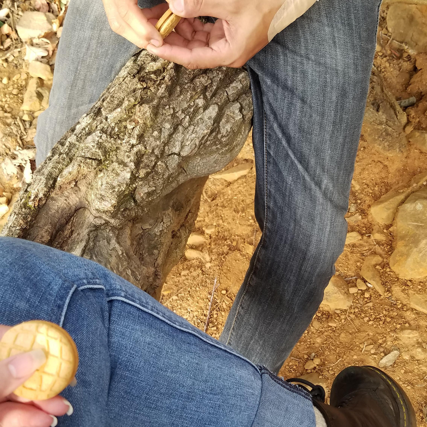 Hiking, Watchung Reservations, October 2020.