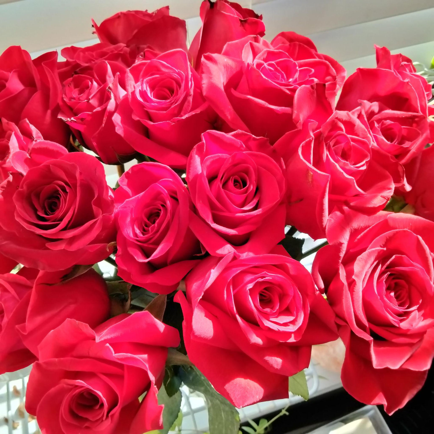 First time he sent me roses - January, 2025