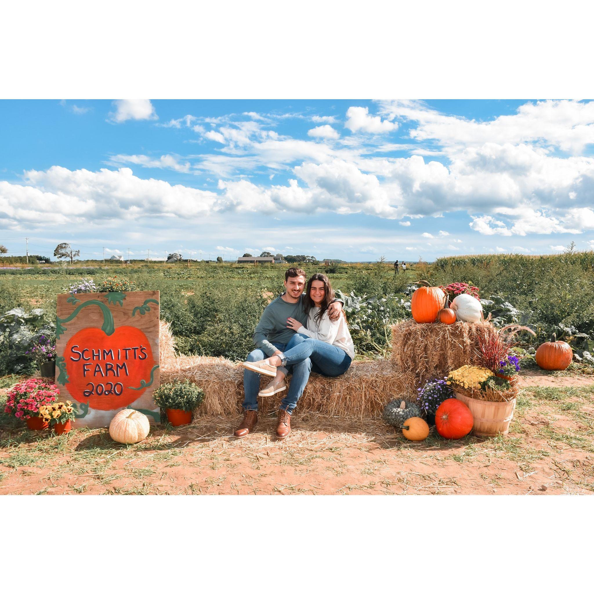 Pumpkin picking! October 2020