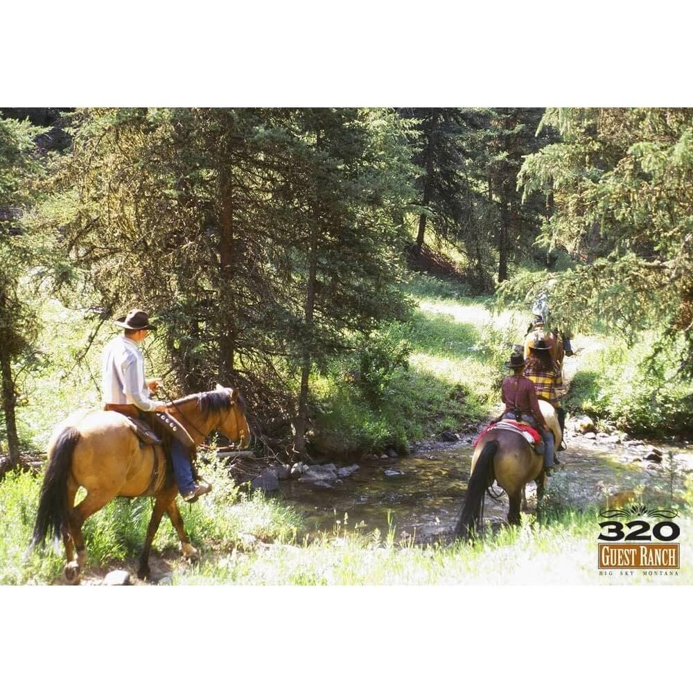 Take a ride through high mountain meadows or along the Gallatin River. You can see the Sunken Forest that natural forces created in 1959, not to mention a wide variety of wildlife.