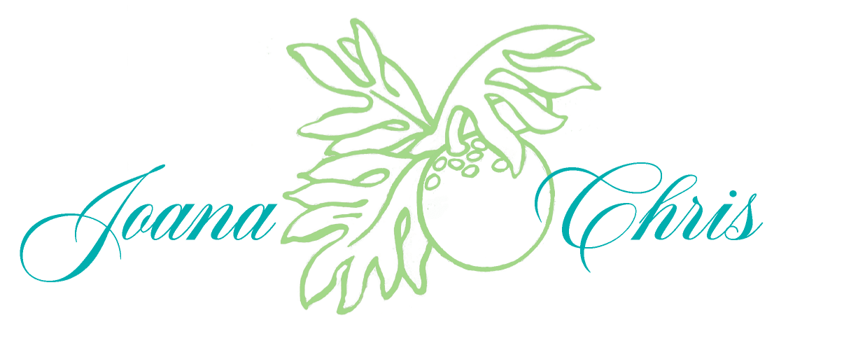 The Wedding Website of Joana Barandier Goic and Christopher Keli'i Takemoto-Gentile
