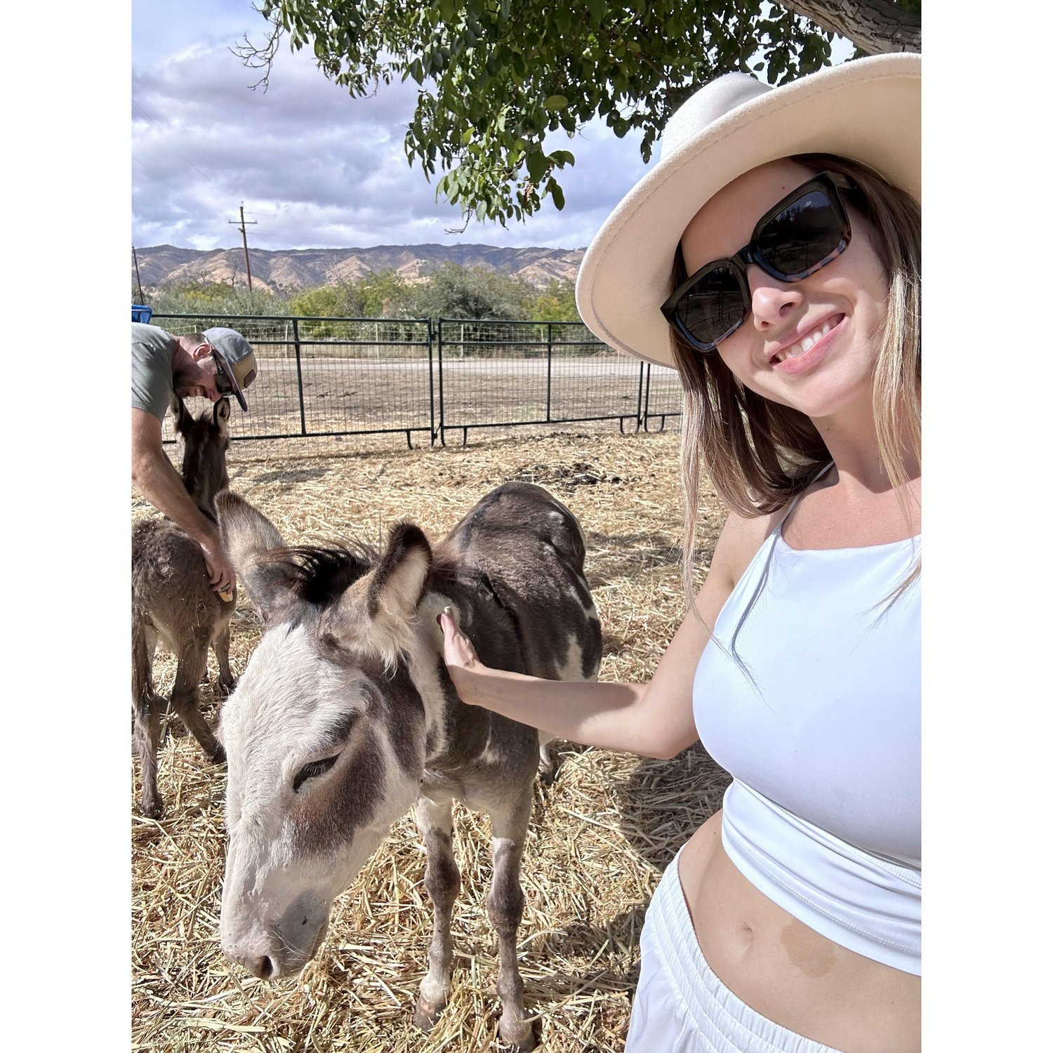 Hard at farm work with our donkeys!