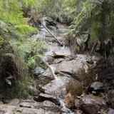 La La Falls Walk