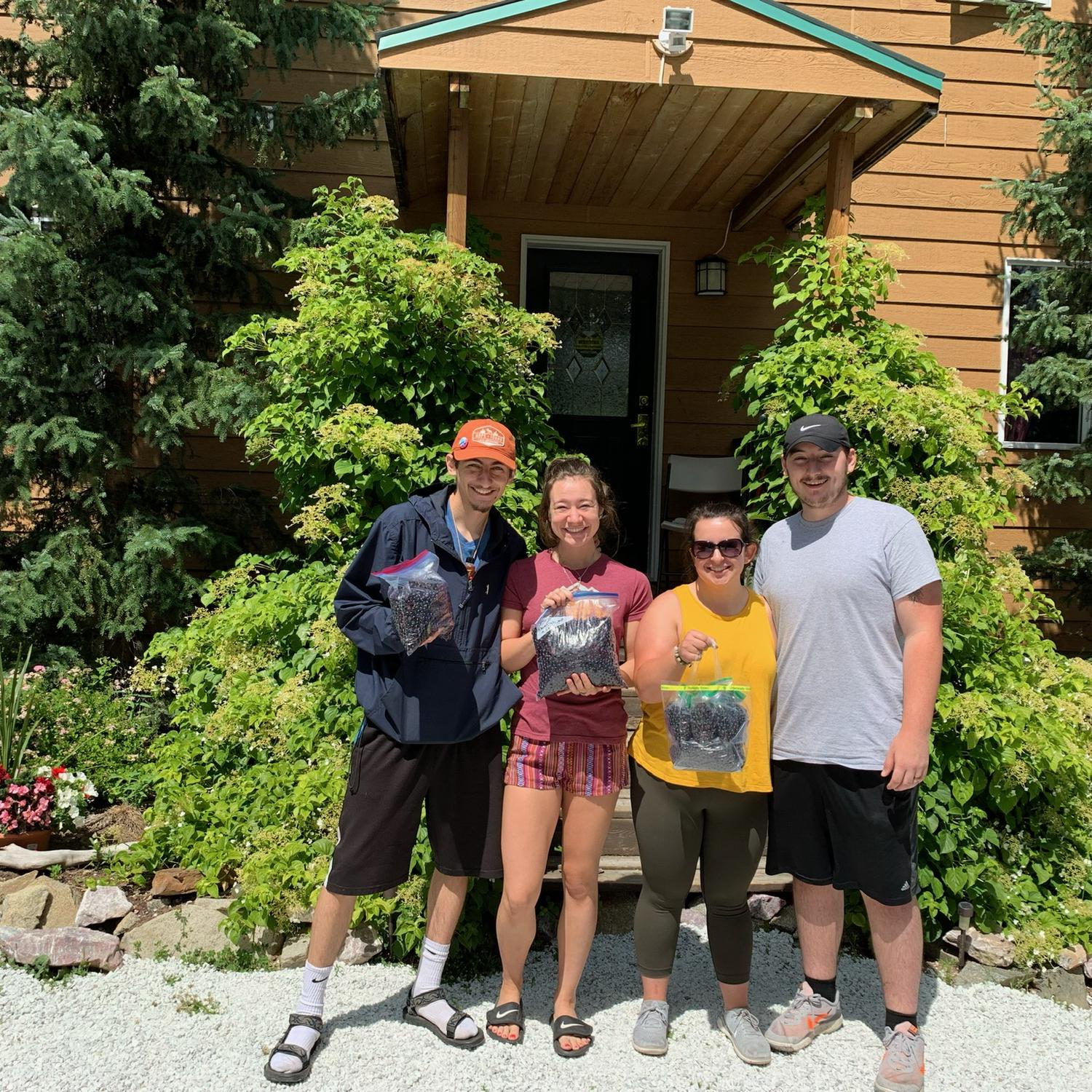 Huckleberry picking at 49