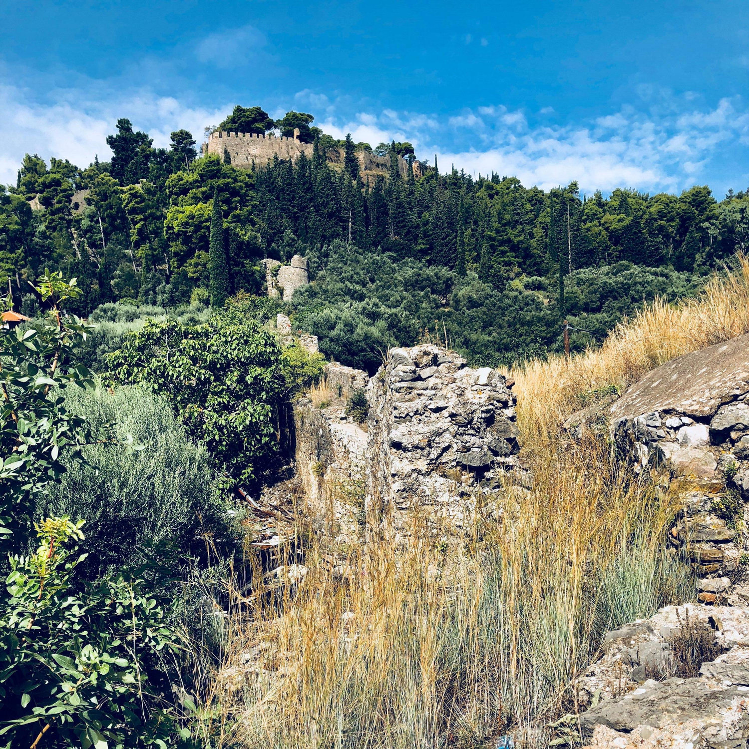 Castle Walk