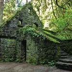 Forest Park