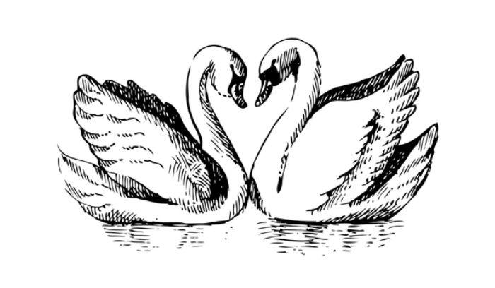 Footer image