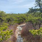 Sam's Point Area of Minnewaska State Park Preserve