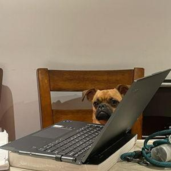 Jax's Vet Bills