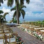 The Palm Terrace (The Venue)