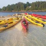 National Park Sea Kayak Tours