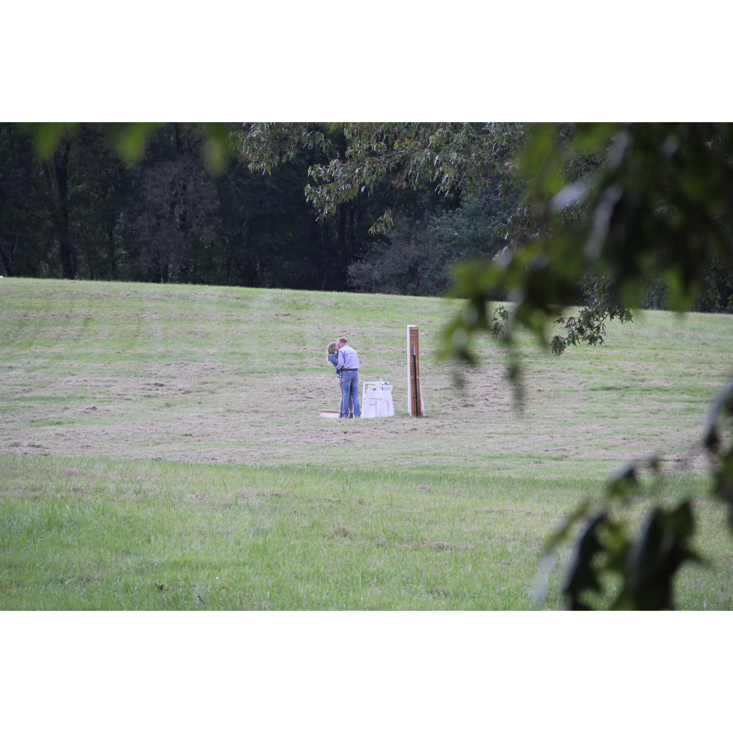 The proposal!