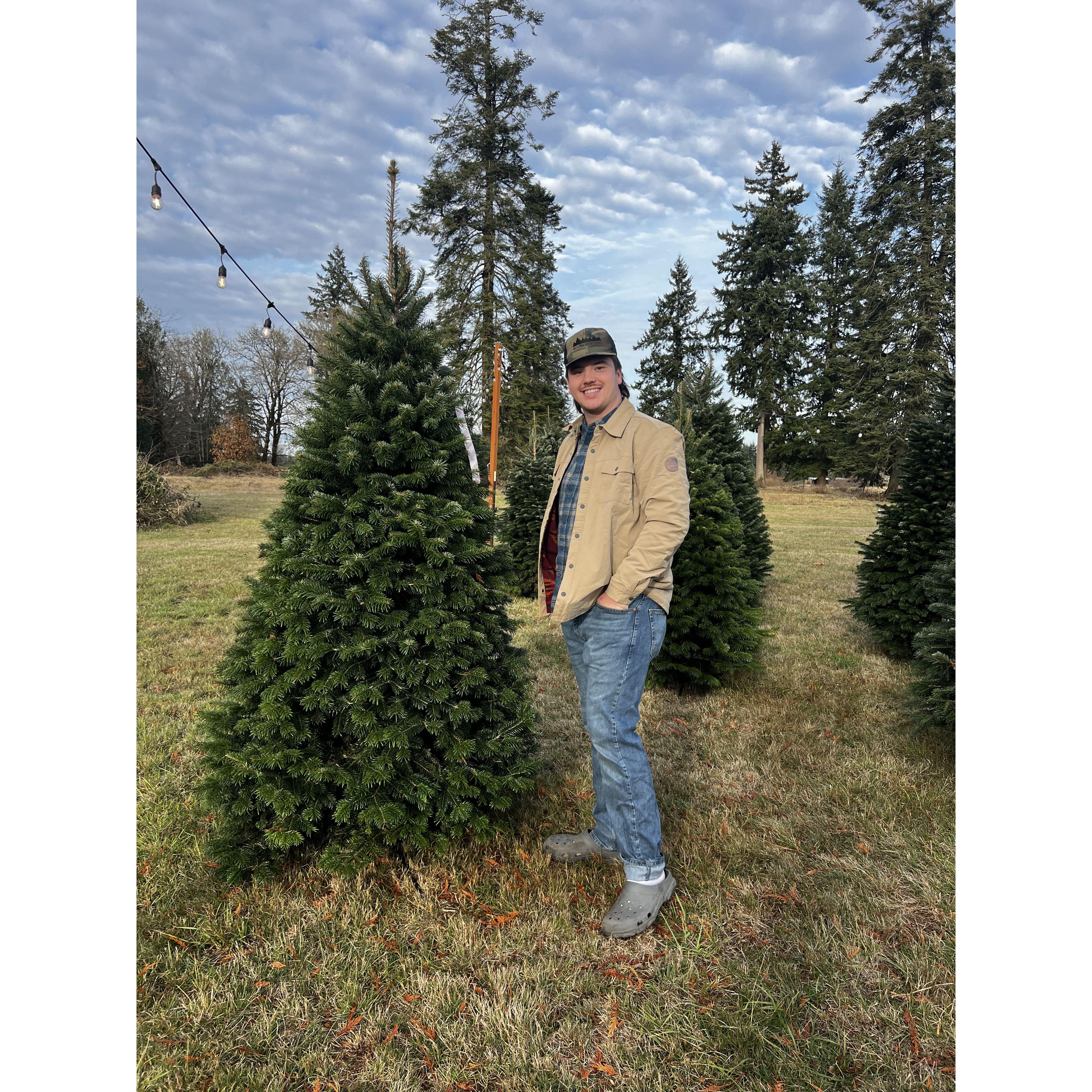 Our first Christmas tree!