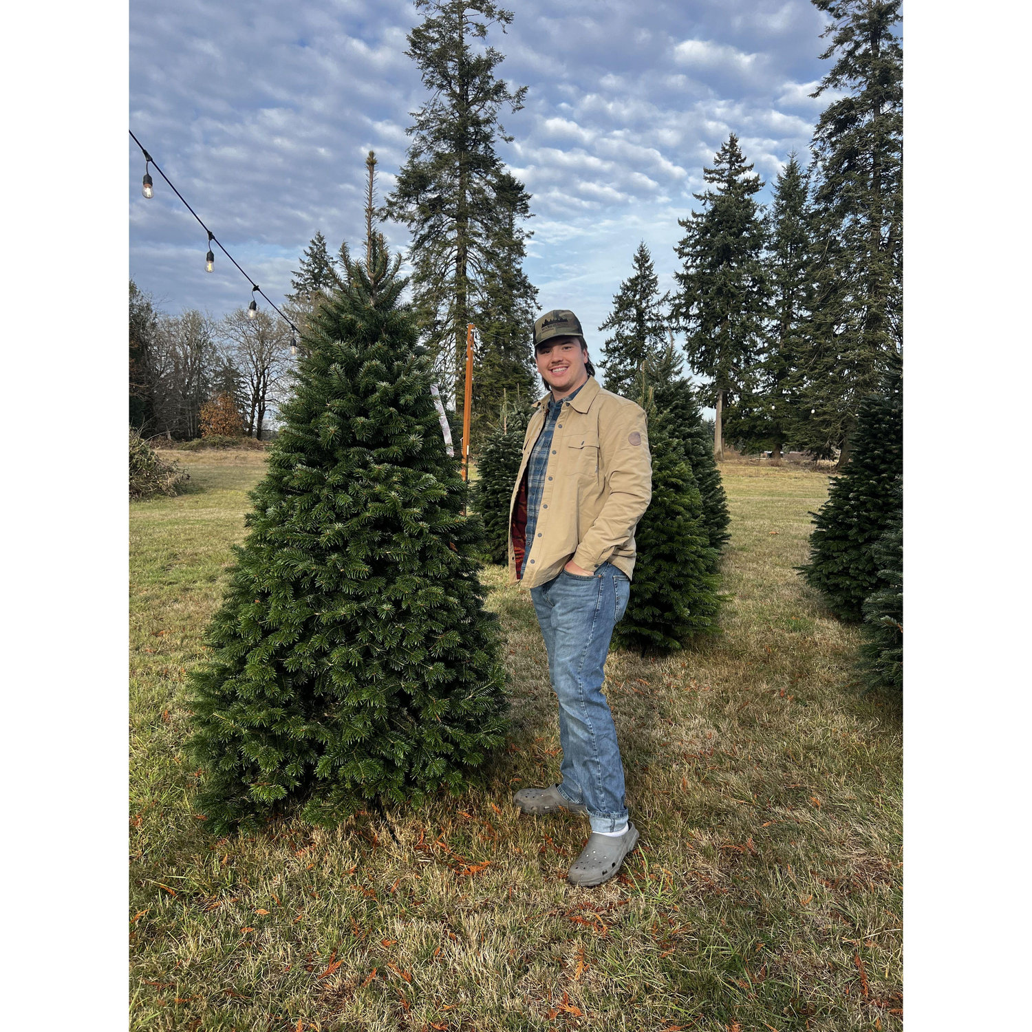 Our first Christmas tree!