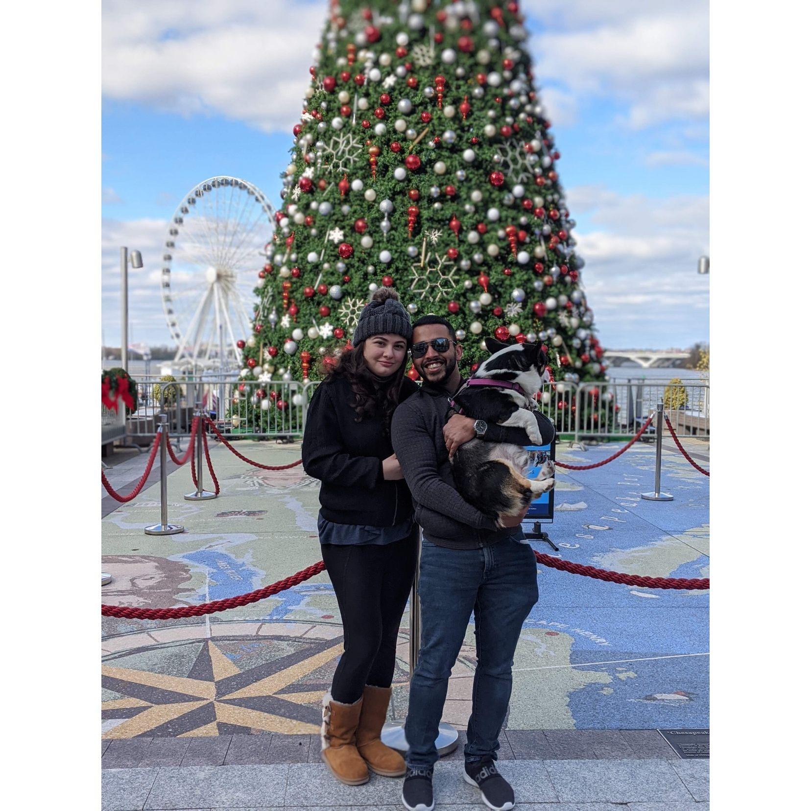 Holiday Photo Fun