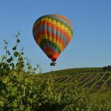 Magical Adventure Balloon Rides