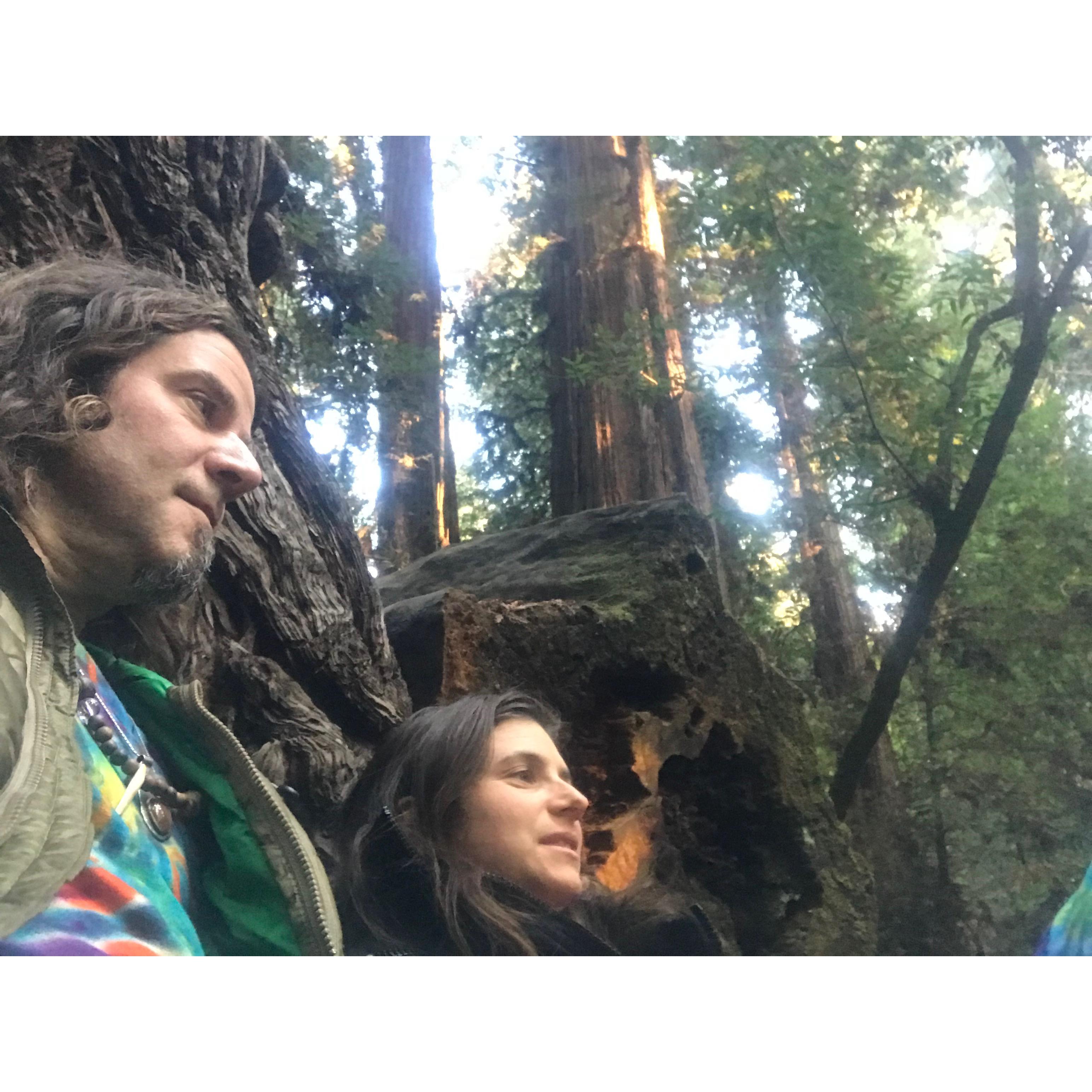 mystified by ancient Giants