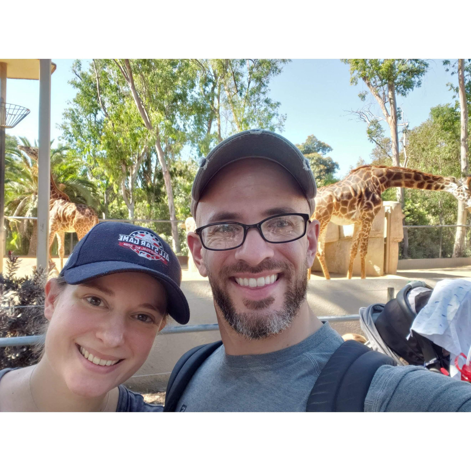 Zoo Visit #647 - the animals are (still) incredible.  We’ll be going back.  San Diego