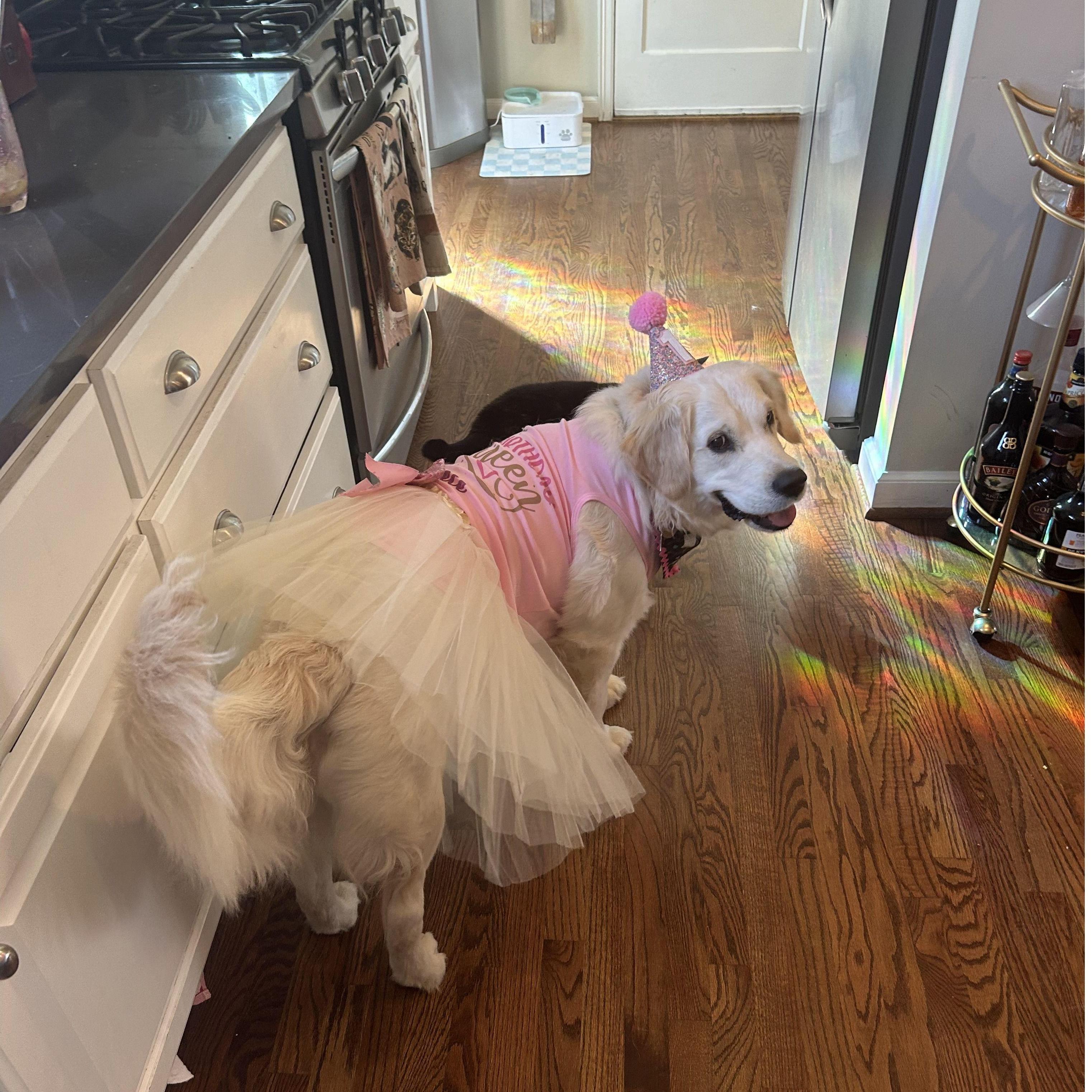 Cece's 1st birthday!