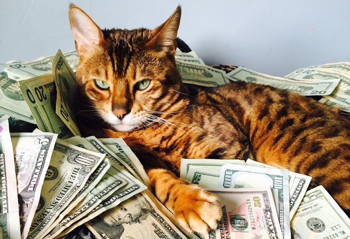 611942a9-77bc-43e3-93ee-8dd98426505a