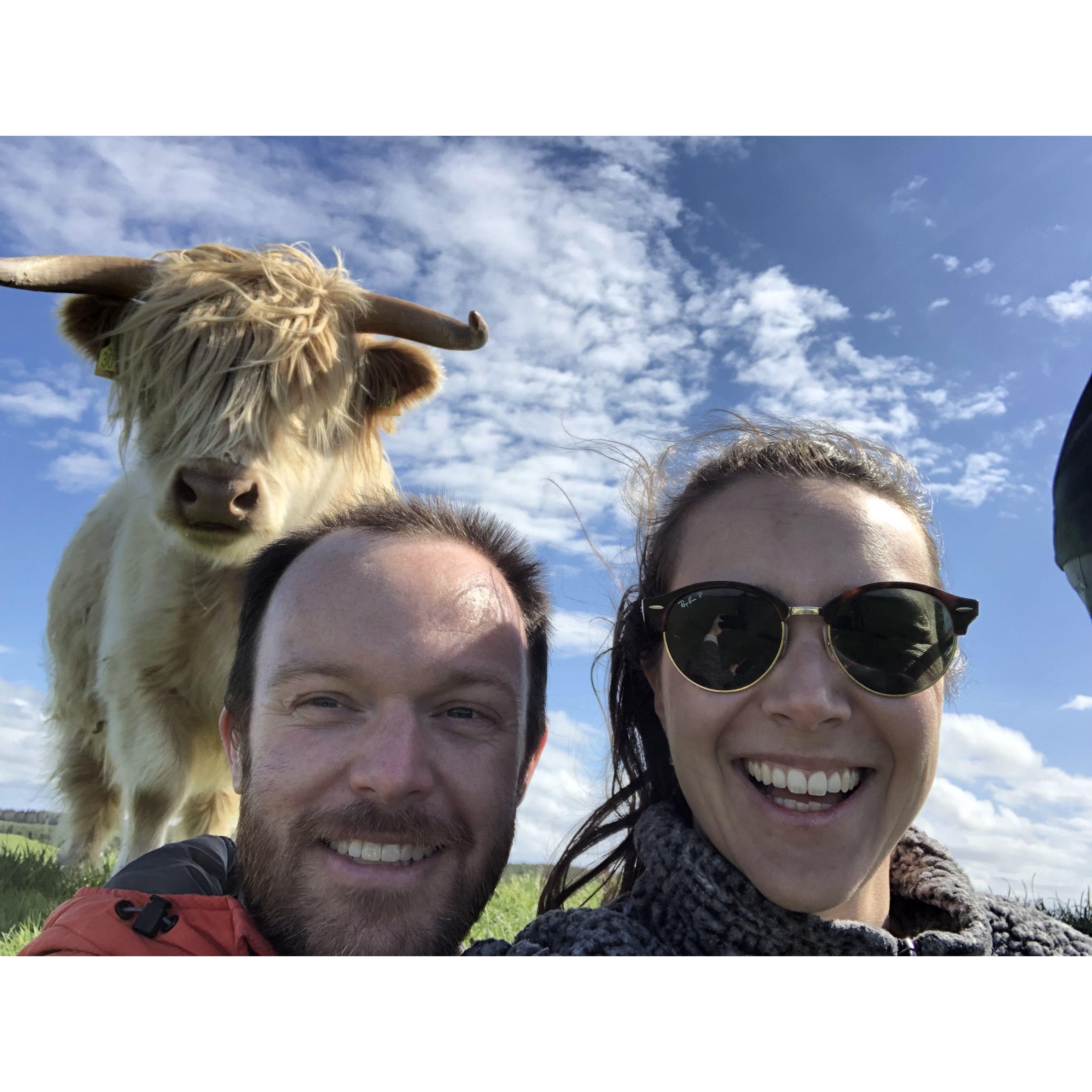 While visiting Scotland in 2022 with Manon's parents, we got to meet a couple of the world's most famous Highland Coos, including this lovely lady!