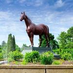 Kentucky Horse Park