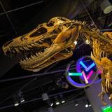 North Carolina Museum of Natural Sciences