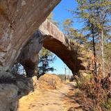 Hiking