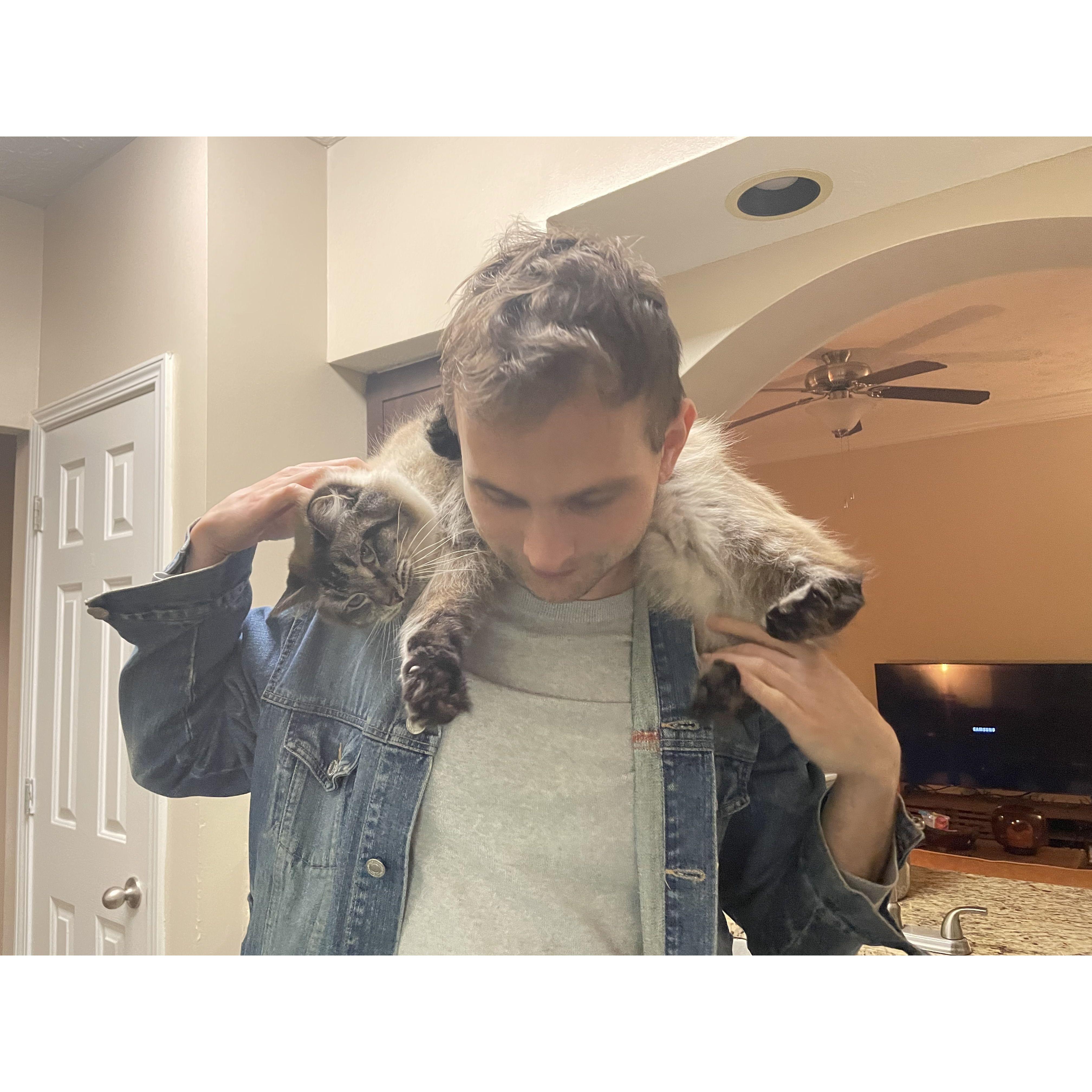 We brought Cary Grant home!