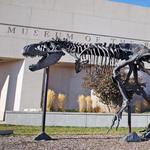 Museum of the Rockies