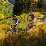 Orange Peel Bicycle Rentals - (Bike Rentals)
