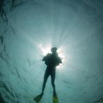 Dive Goa