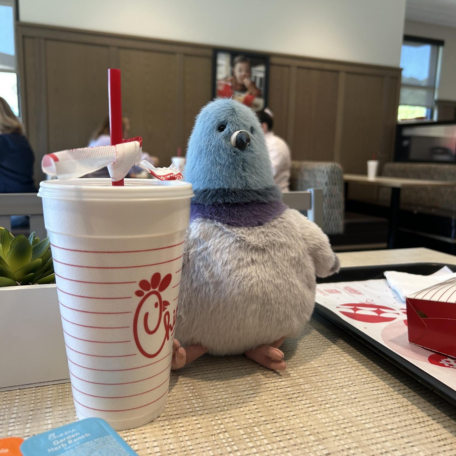 With us, there’s almost always a pigeon reference around. Sometimes, they even join us at Chick-Fil-A.
