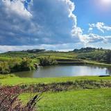 Mercier Orchards