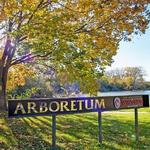 University of Wisconsin-Madison Arboretum