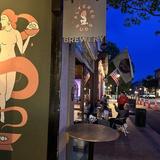 Altered Suds Beer Co.