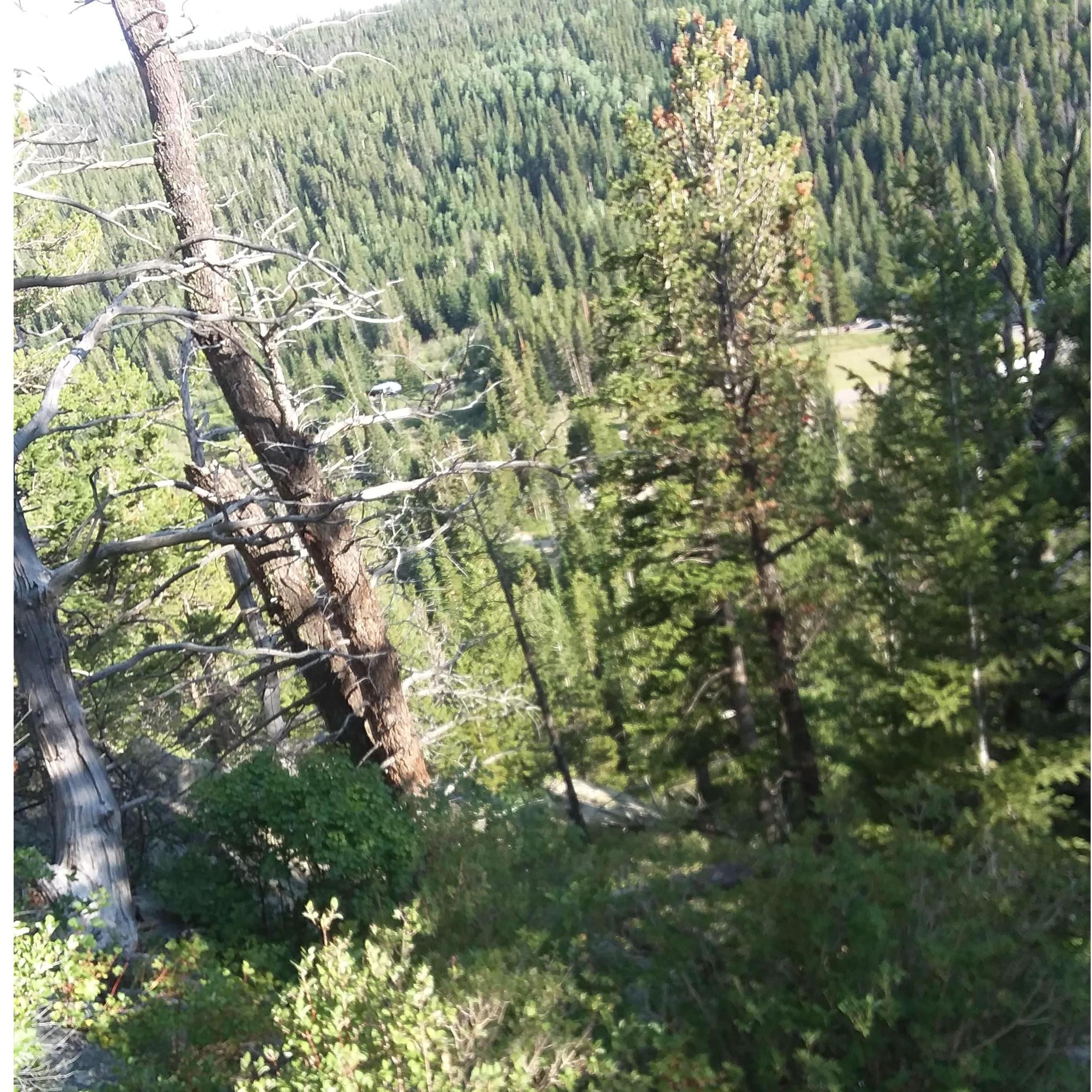 Another beautiful CO shot
