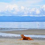 Beaches & Parks