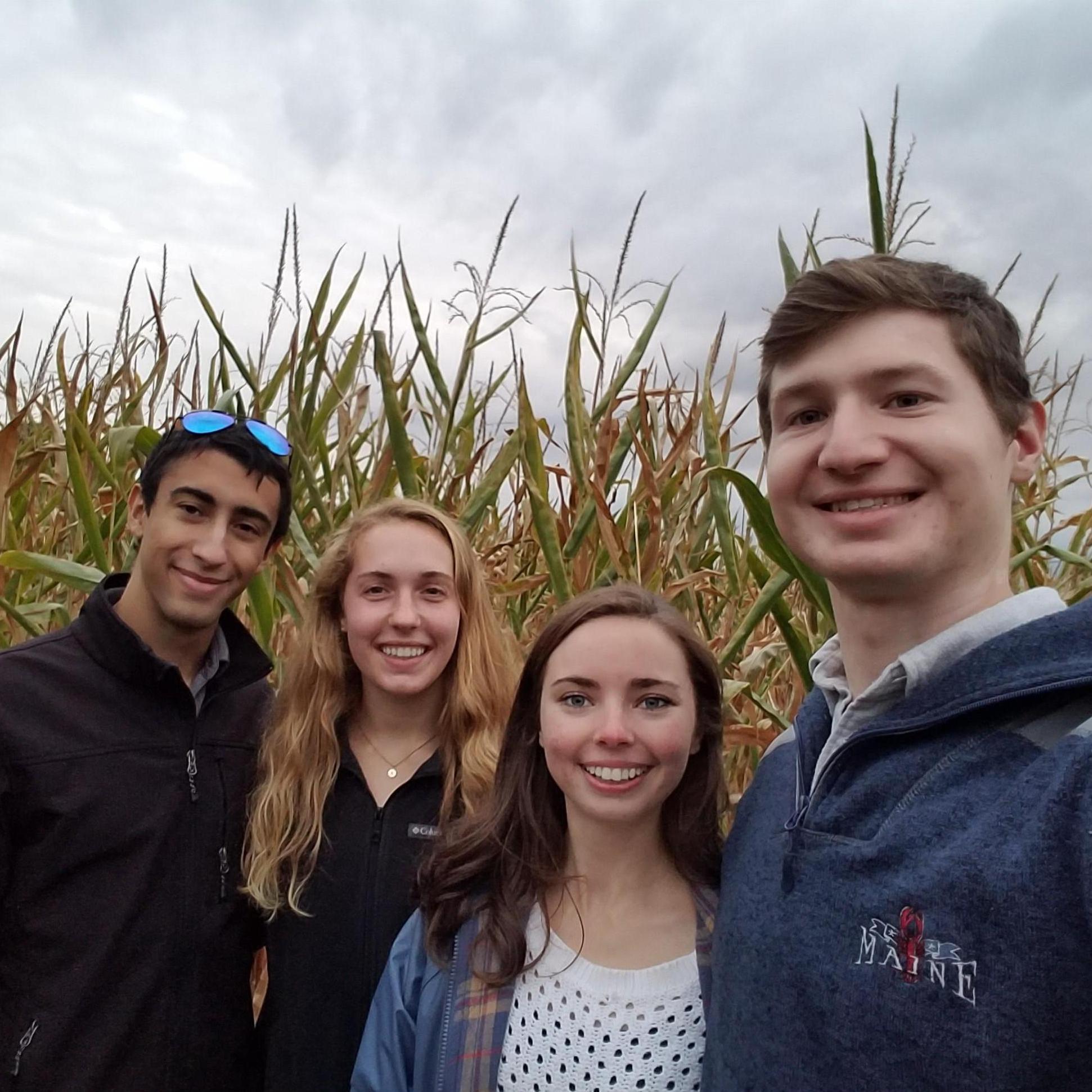 Corn Maze Adventure with friends