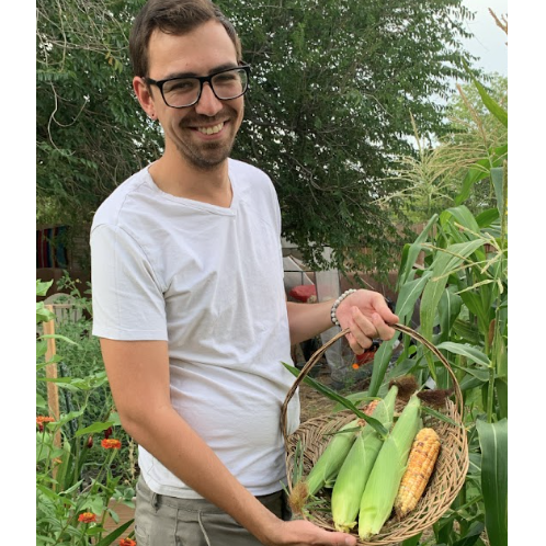 Garden harvest.