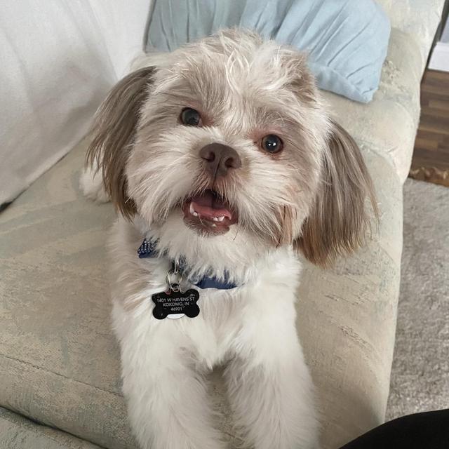 Doggie Day Care for Cubone while we are on our Honeymoon!